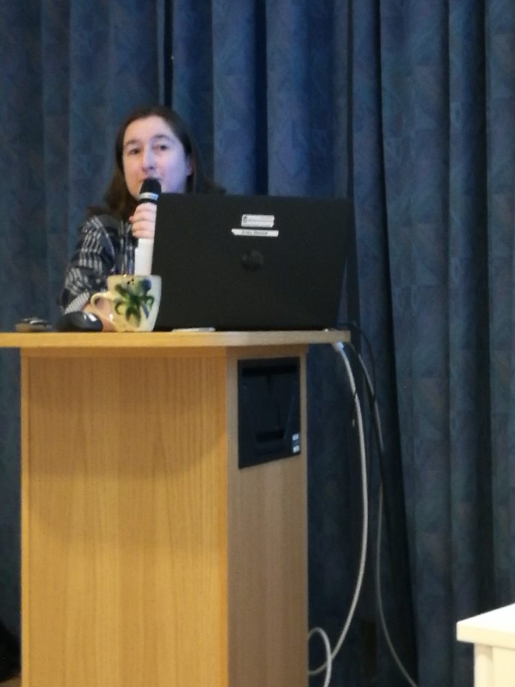 Talk on worldwide hiking destinations in Sweden